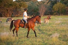 South Africa-Waterberg-Triple B Ranch